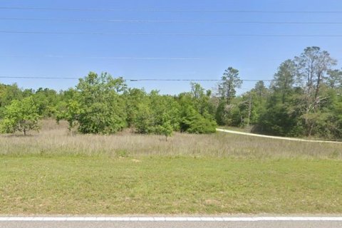 Terreno en venta en Brooksville, Florida № 1688079 - foto 3