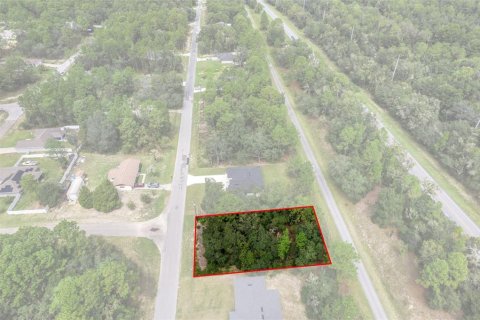 Land in Citrus Springs, Florida № 2371943 - photo 9