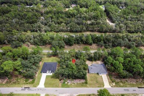 Land in Citrus Springs, Florida № 2371943 - photo 5
