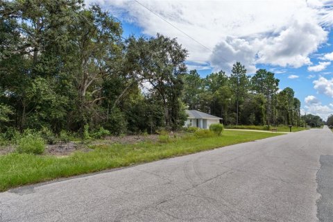Land in Citrus Springs, Florida № 2371943 - photo 23