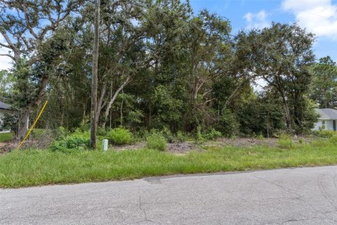 Land in Citrus Springs, Florida № 2371943 - photo 22
