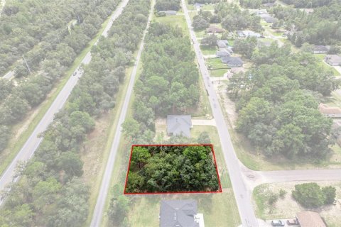 Land in Citrus Springs, Florida № 2371943 - photo 17