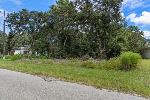Land in Citrus Springs, Florida № 2371943 - photo 20