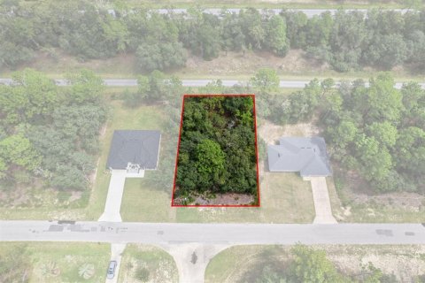 Land in Citrus Springs, Florida № 2371943 - photo 3