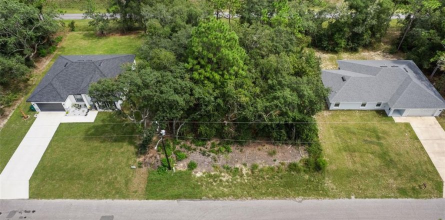 Land in Citrus Springs, Florida № 2371943