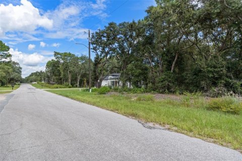 Land in Citrus Springs, Florida № 2371943 - photo 21