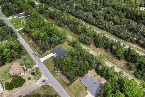 Land in Citrus Springs, Florida № 2371943 - photo 6