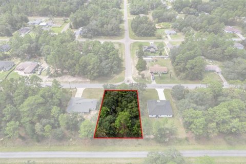 Land in Citrus Springs, Florida № 2371943 - photo 13