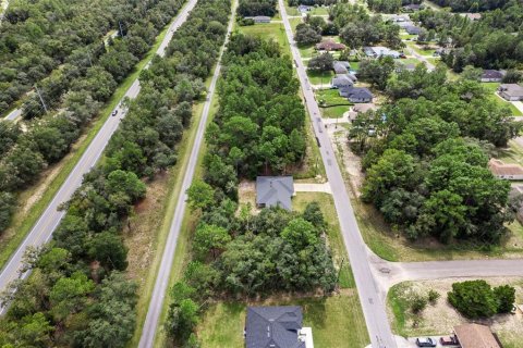Land in Citrus Springs, Florida № 2371943 - photo 16