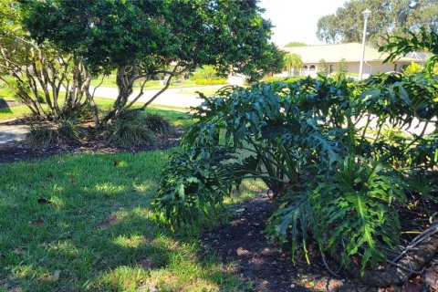 Villa ou maison à louer à Sarasota, Floride: 2 chambres, 125.51 m2 № 1805699 - photo 12
