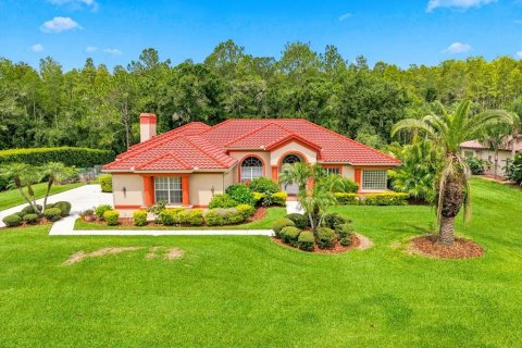House in Lutz, Florida 4 bedrooms, 307.13 sq.m. № 2220389