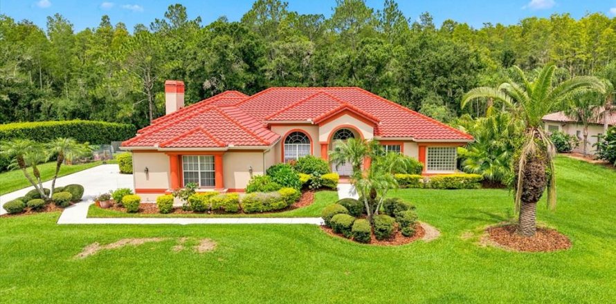 House in Lutz, Florida 4 bedrooms, 307.13 sq.m. № 2220389