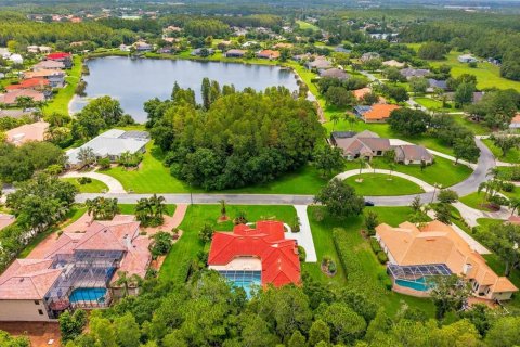 House in Lutz, Florida 4 bedrooms, 307.13 sq.m. № 2220389 - photo 3
