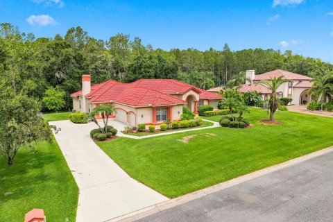 House in Lutz, Florida 4 bedrooms, 307.13 sq.m. № 2220389 - photo 4