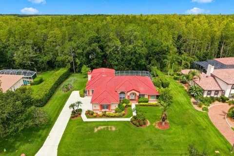House in Lutz, Florida 4 bedrooms, 307.13 sq.m. № 2220389 - photo 2