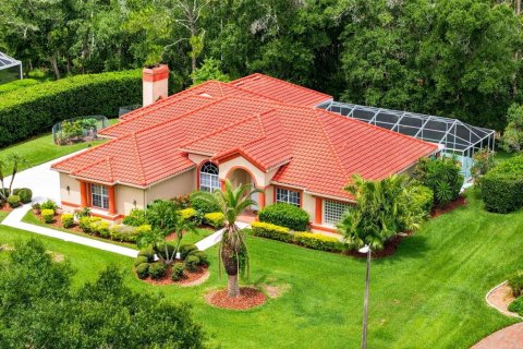 House in Lutz, Florida 4 bedrooms, 307.13 sq.m. № 2220389 - photo 6