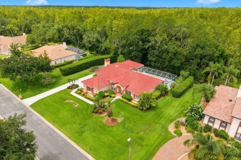House in Lutz, Florida 4 bedrooms, 307.13 sq.m. № 2220389 - photo 5