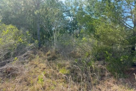 Land in Weeki Wachee, Florida № 2195156 - photo 6