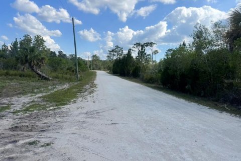 Land in Weeki Wachee, Florida № 2195156 - photo 3