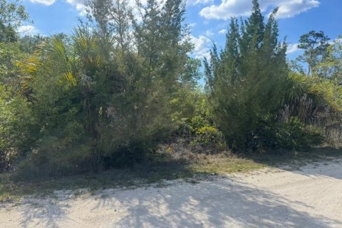 Land in Weeki Wachee, Florida № 2195156 - photo 4