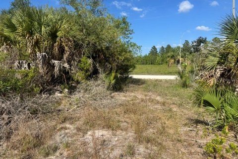 Land in Weeki Wachee, Florida № 2195156 - photo 2