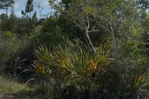 Land in Weeki Wachee, Florida № 2195156 - photo 8