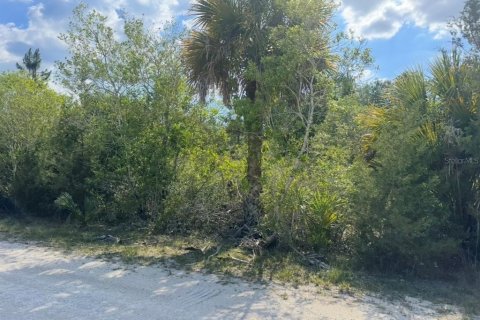 Land in Weeki Wachee, Florida № 2195156 - photo 5