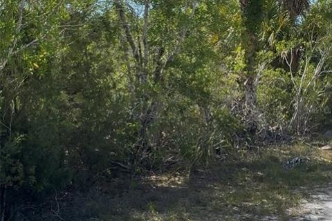 Land in Weeki Wachee, Florida № 2195156 - photo 9