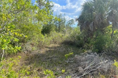 Land in Weeki Wachee, Florida № 2195156 - photo 7