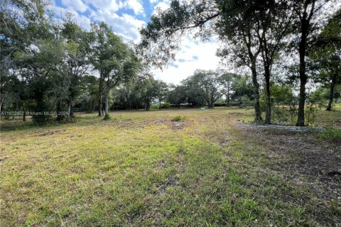 Commercial property in Clewiston, Florida № 1960843 - photo 9