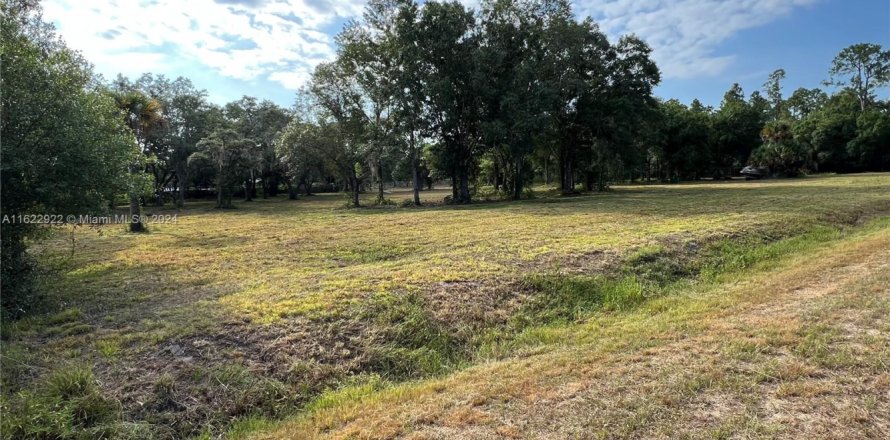 Commercial property in Clewiston, Florida № 1960843