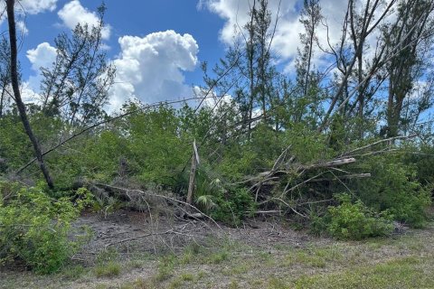 Land in Port Charlotte, Florida № 2162437