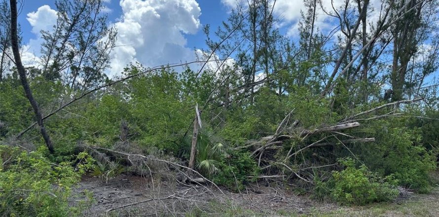 Land in Port Charlotte, Florida № 2162437