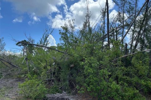 Land in Port Charlotte, Florida № 2162437 - photo 3