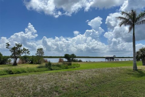 Land in Port Charlotte, Florida № 2162437 - photo 4