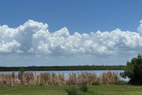 Land in Port Charlotte, Florida № 2162437 - photo 7