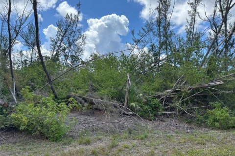 Land in Port Charlotte, Florida № 2162437 - photo 2