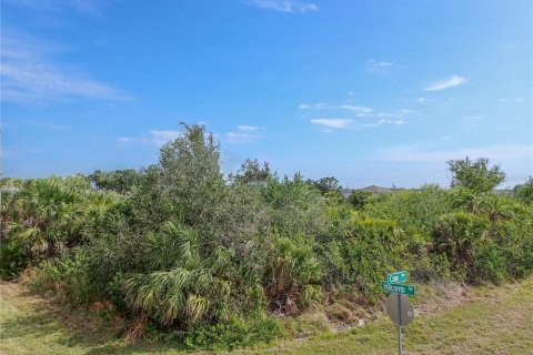 Land in Port Charlotte, Florida № 1608777 - photo 2