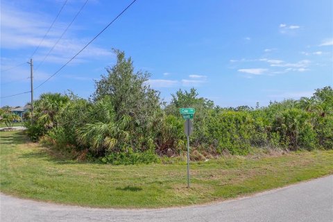 Land in Port Charlotte, Florida № 1608777 - photo 1
