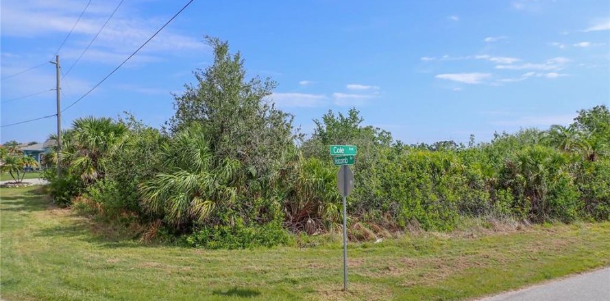 Land in Port Charlotte, Florida № 1608777