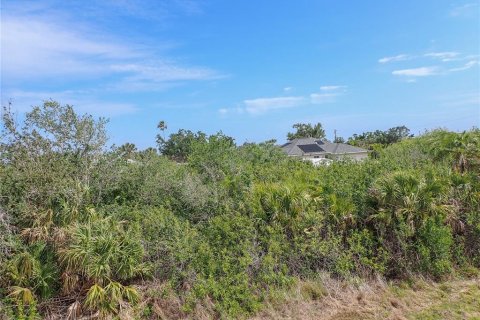 Land in Port Charlotte, Florida № 1608777 - photo 3