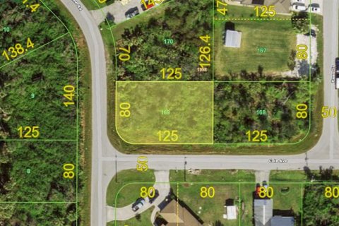 Land in Port Charlotte, Florida № 1608777 - photo 4