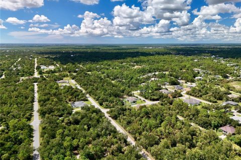 Land in Port Charlotte, Florida № 2396205 - photo 14