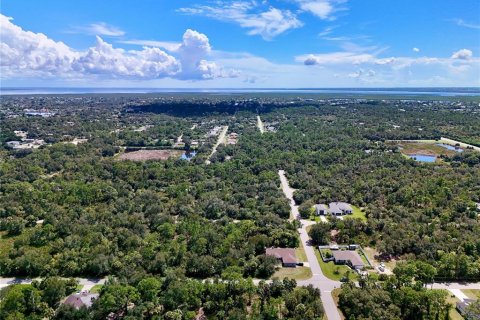 Land in Port Charlotte, Florida № 2396205 - photo 11