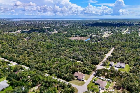 Land in Port Charlotte, Florida № 2396205 - photo 10
