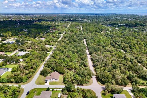 Land in Port Charlotte, Florida № 2396205 - photo 26