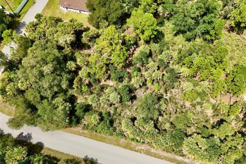 Land in Port Charlotte, Florida № 2396205 - photo 20