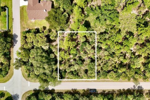Land in Port Charlotte, Florida № 2396205