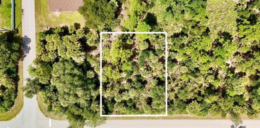 Land in Port Charlotte, Florida № 2396205