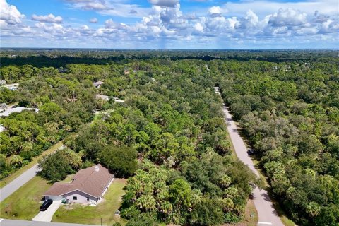 Land in Port Charlotte, Florida № 2396205 - photo 17